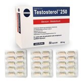 Testosterol 250 30 Capsule, Megabol